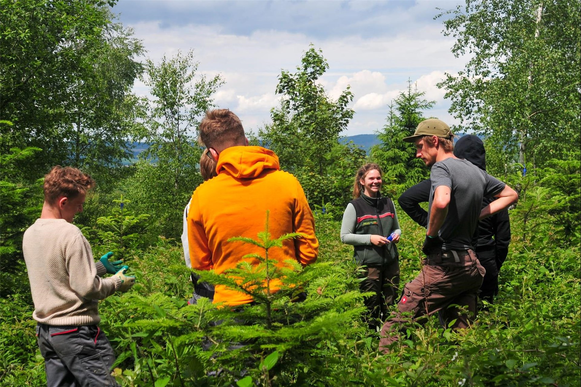 Eine Gruppe von jungen Leuten arbeitet in einem Wald. Einige unterhalten sich, während andere in die Umgebung schauen.