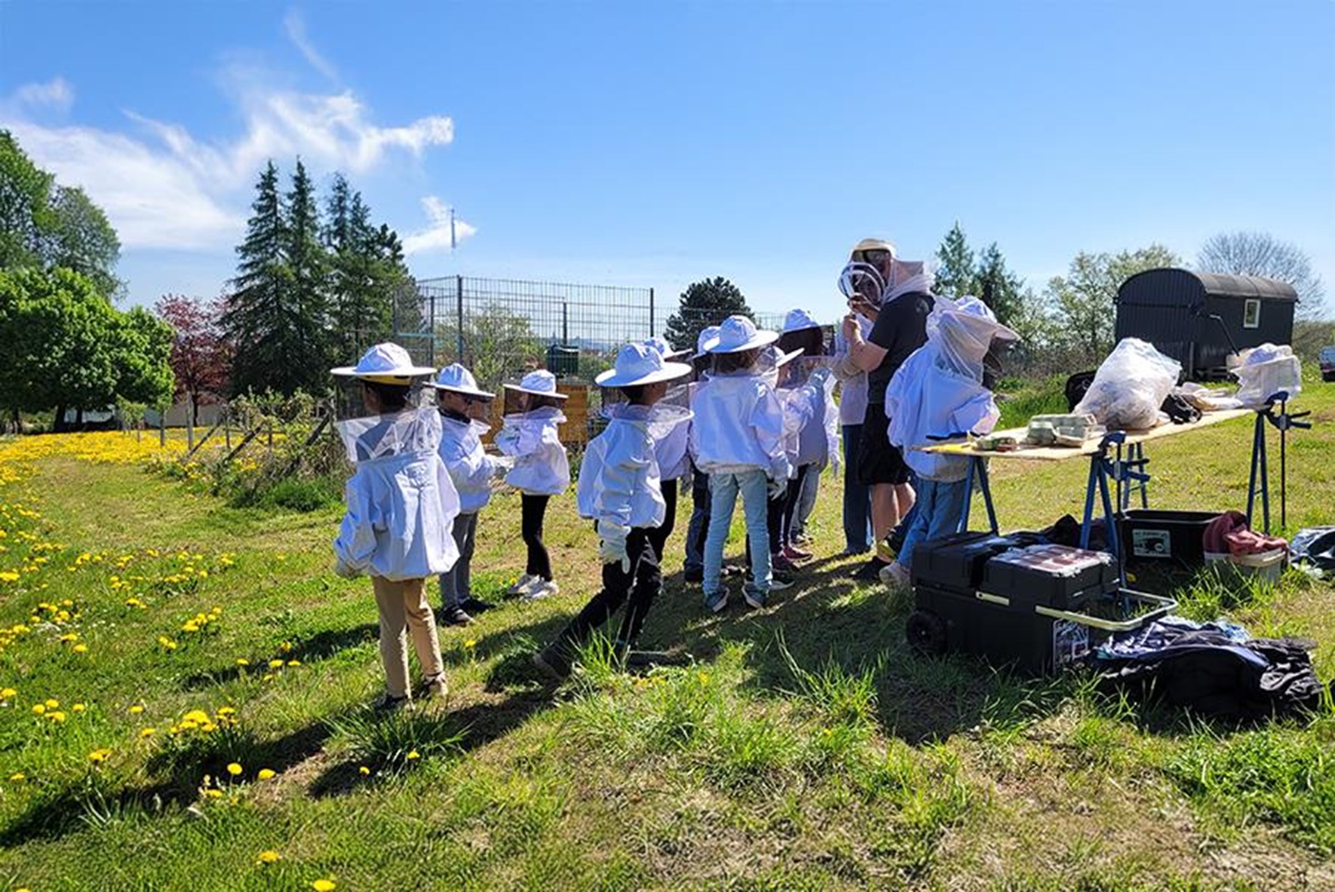 Eine Gruppe von Kindern in Imkeranzügen steht im Freien und schaut einem Imker bei der Arbeit zu. Sie stehen vor einem Tisch mit Imker-Utensilien.