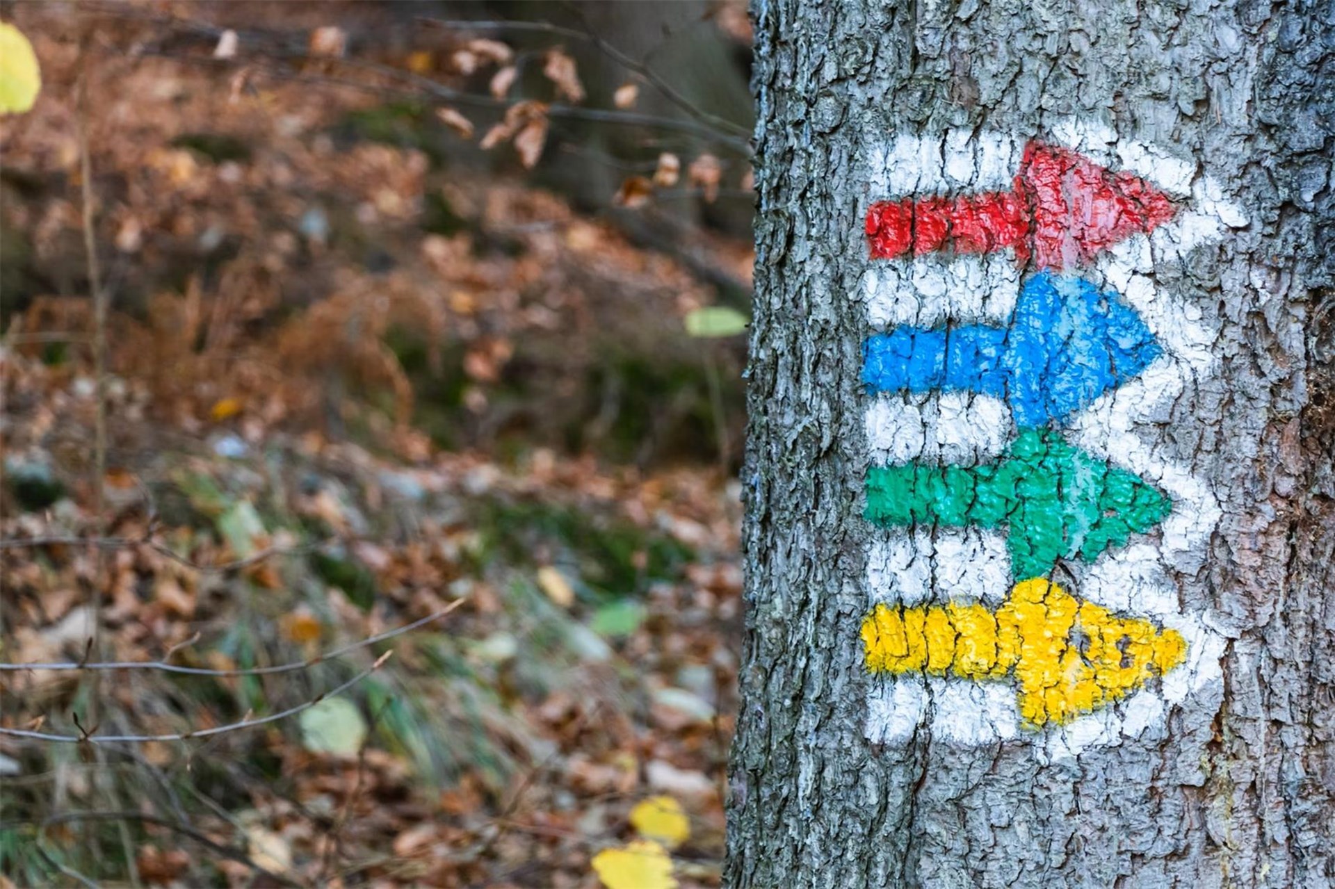 Steuerungsgruppe