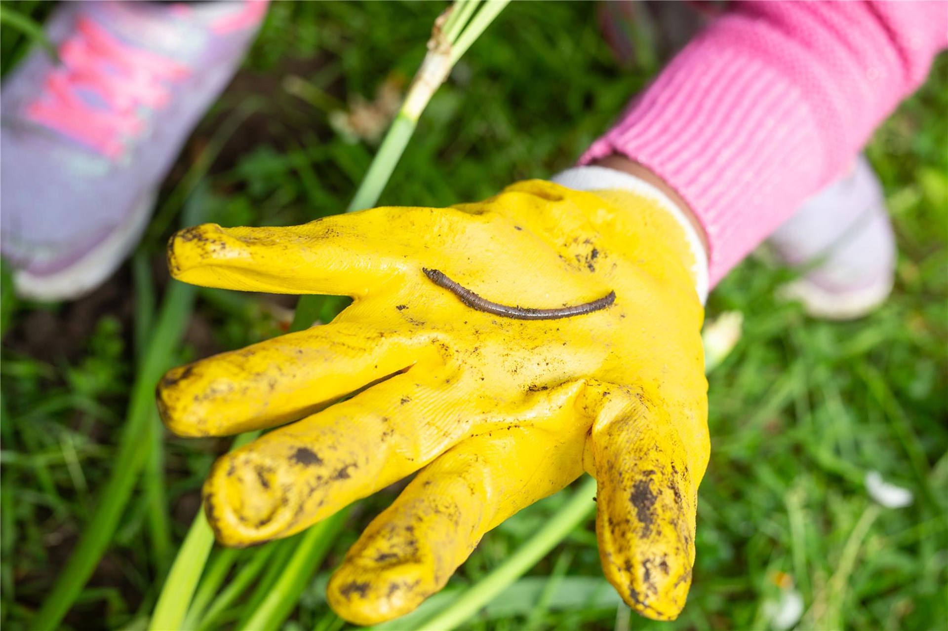 Regenwurm auf Kinderhand, die in einem gelben Handschuh steckt.